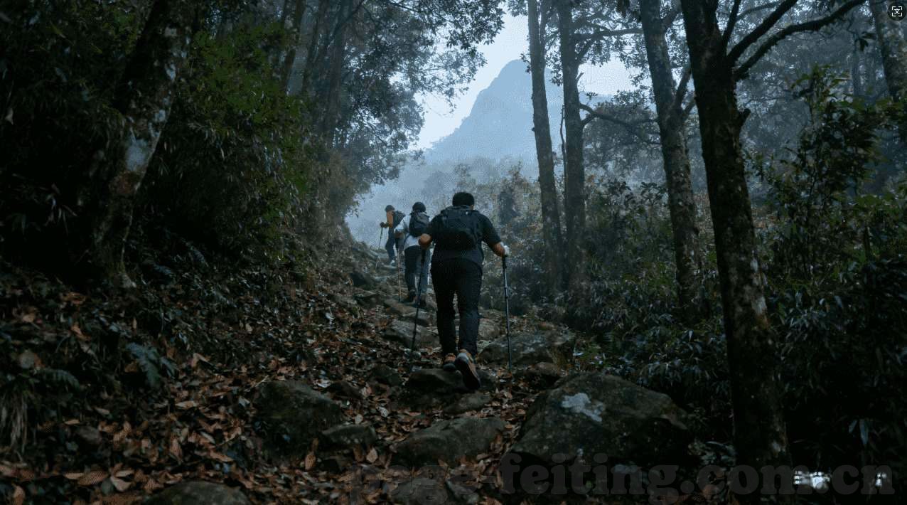 大众娱乐购彩平台-大众娱乐购彩平台，探索便捷、安全的新时代娱乐方式